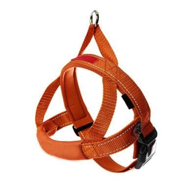 OEM All Kinds of Pet Products, Pet Accessories, Pet Supplier