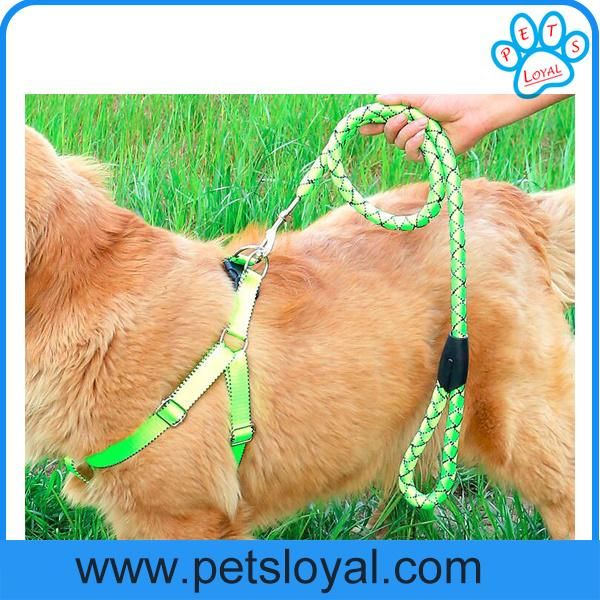 Factory Wholesale Cheap Nylon Pet Leash Dog Harness
