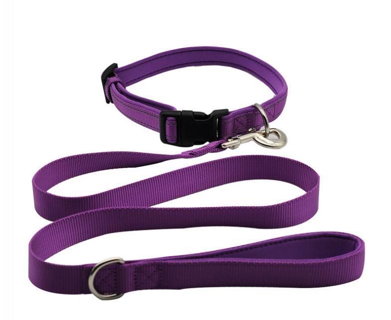 Customized Heavy Duty Adjustable Premium Reflective Plastic Buckle Reflective Nylon Dog Collar with Neoprene Padded