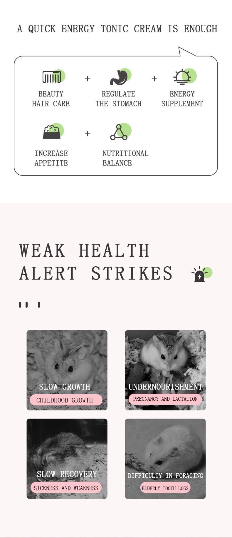 Yee Dwarf Rat Chipmunk Food Hamster Nutrition Snacks Beauty Hair
