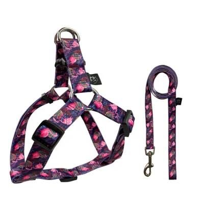 Custom Designer Reflective Soft Padded Nylon No Pull Dog Harness and Leash Set