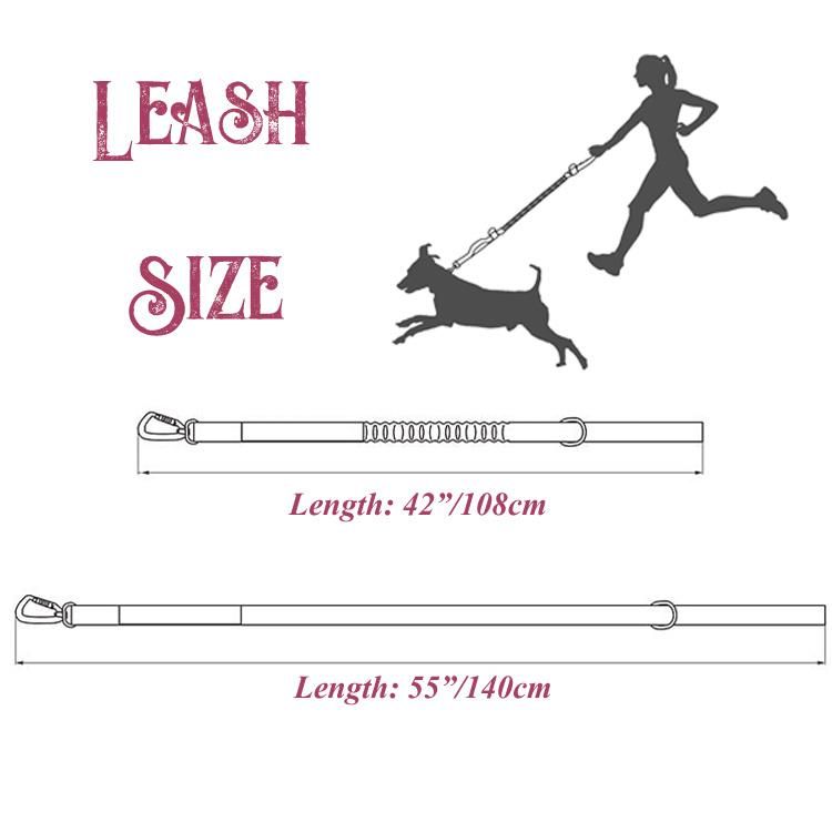 Reflective Elastic Bungee Leash with Soft Padded Handle Dog Leash