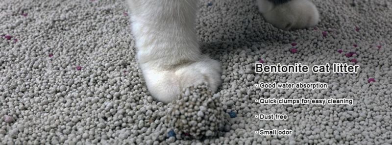 Factory Wholesale Dust Free Clumping Bentonite Cat Litter and Silicone Cat Litter