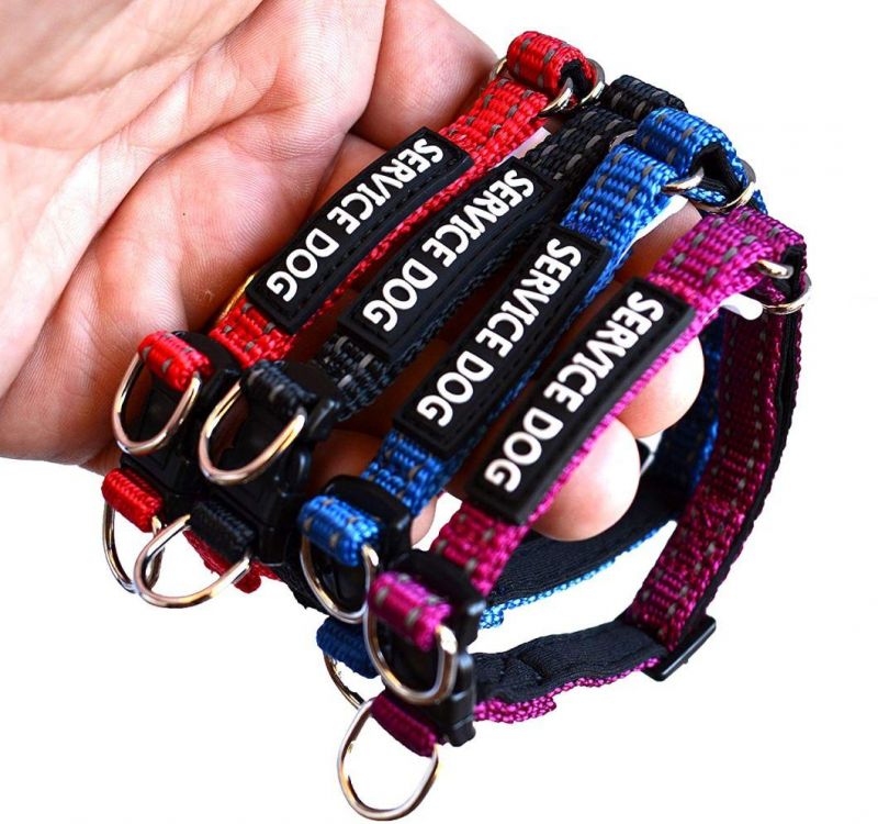 4 Colors Nylon Service Dog Collar Strong Metal Buckle Soft Padded Collar for Small Medium Large Dogs