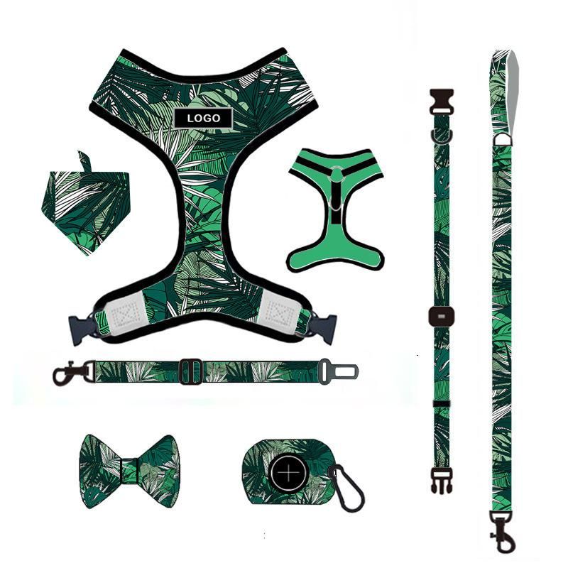 High Quality Pet Supplies Custom Print Dog Harness Belt and Leash, Dog Coats with Harness