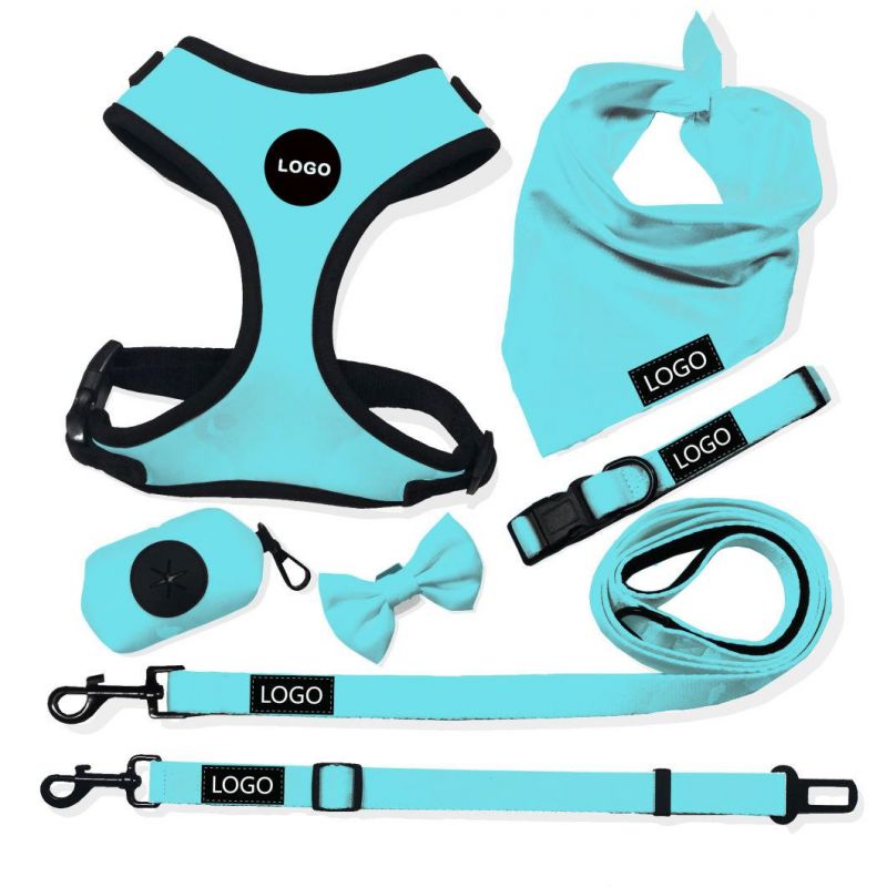 Pet Harness Set