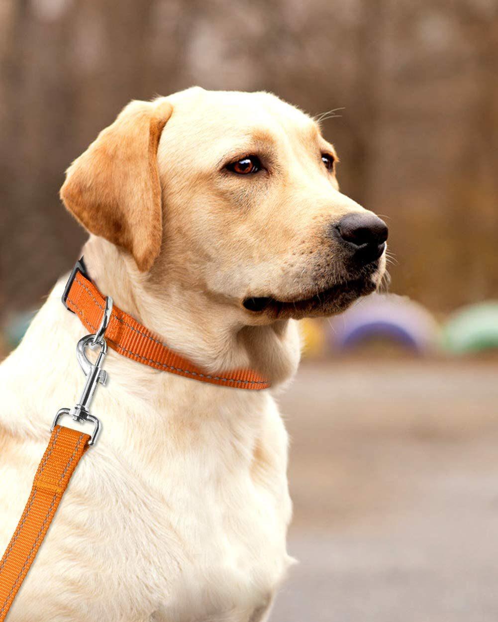 Reflective Quick Release Dog Collar with Multiple Colors