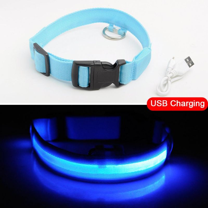 Hot Safety Pet Collar Lighted up Nylon LED Dog Collar Dog Products