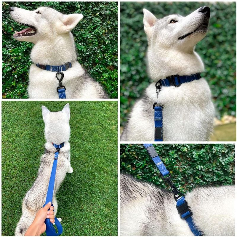 Waterproof Action Style Collar Durable Dog Collar