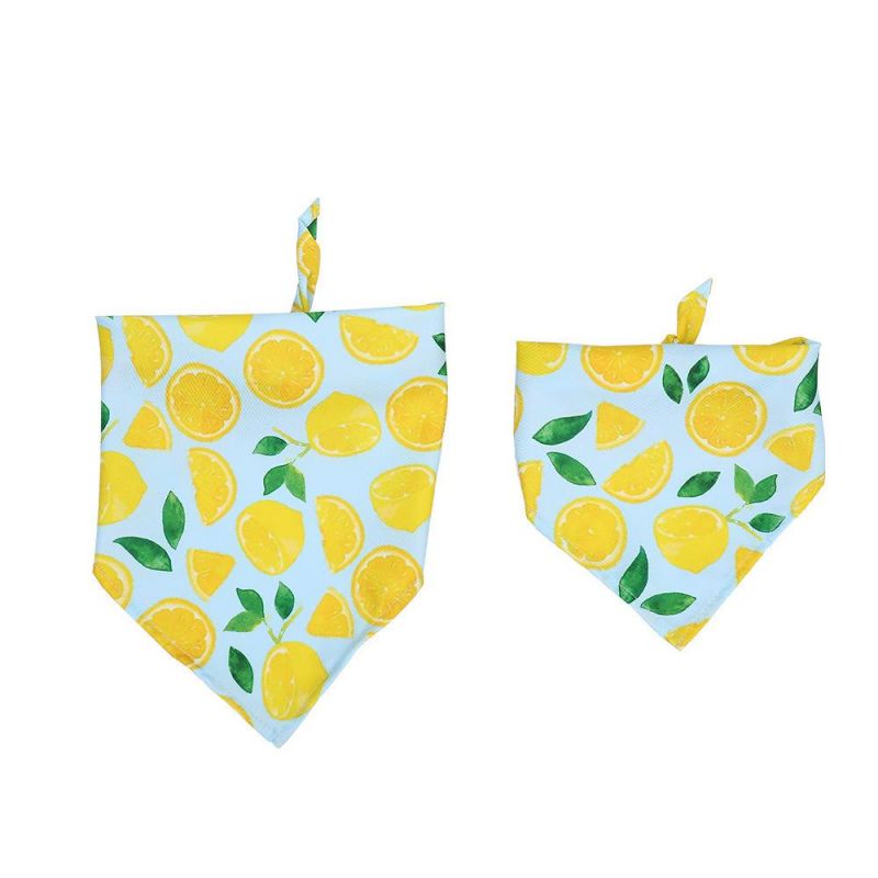Factory Supply Watermelon Fruit Pet Bandana Wholesale Cartoon Dog Bandanas