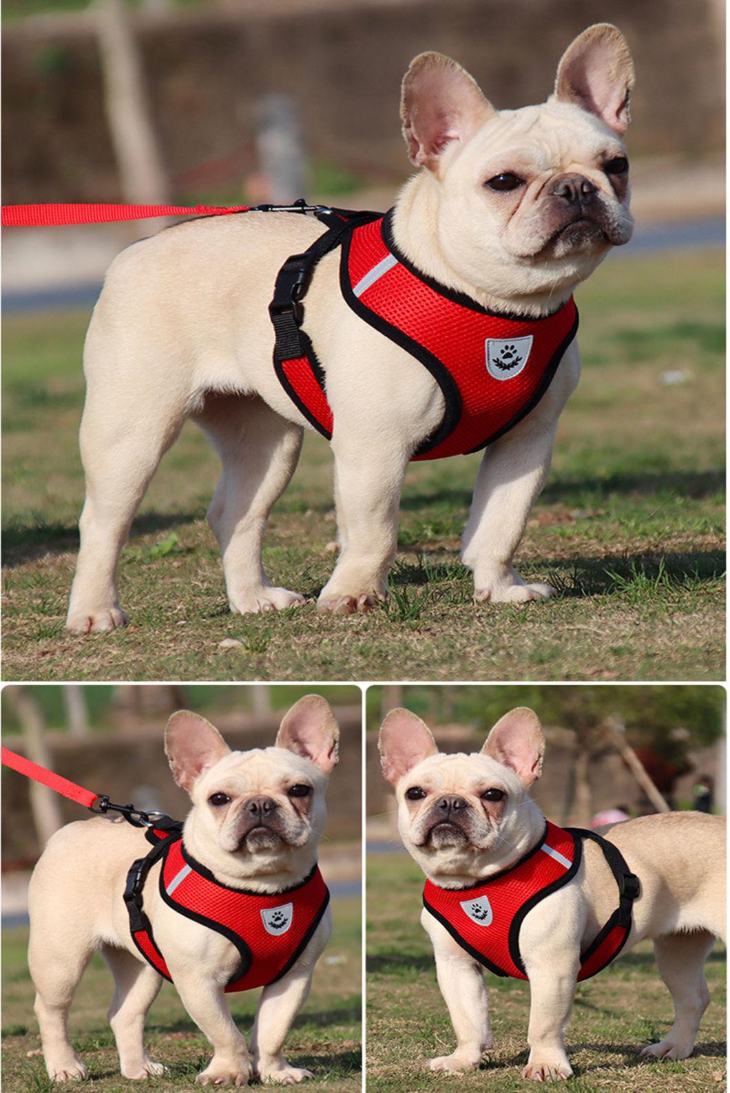 Summer Breathable Mesh Fabric Dog Harness