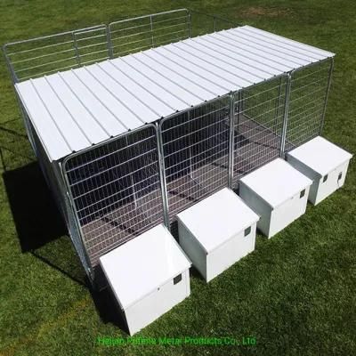 Dog House with Training Area Outdoor Dog Kennel System