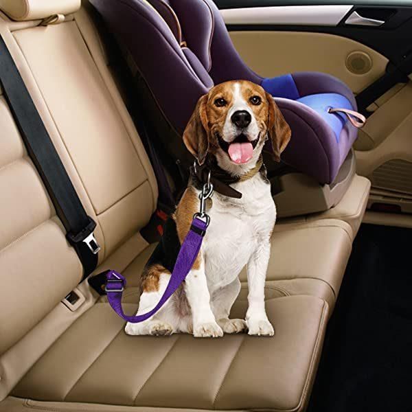 Adjustable Pet Dog Cat Seat Belt, Yucool Safety Leads Vehicle Car Harness Seat Tether, Nylon Fabric- Black, Blue, Red, Purple