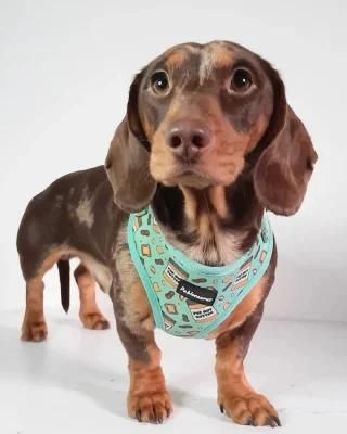 Dog Harness Customized Pattern Fully Adjustable Neoprene Fabric /Designer Dog Harness Pet Supplies Amazon Hot Sale Puppy