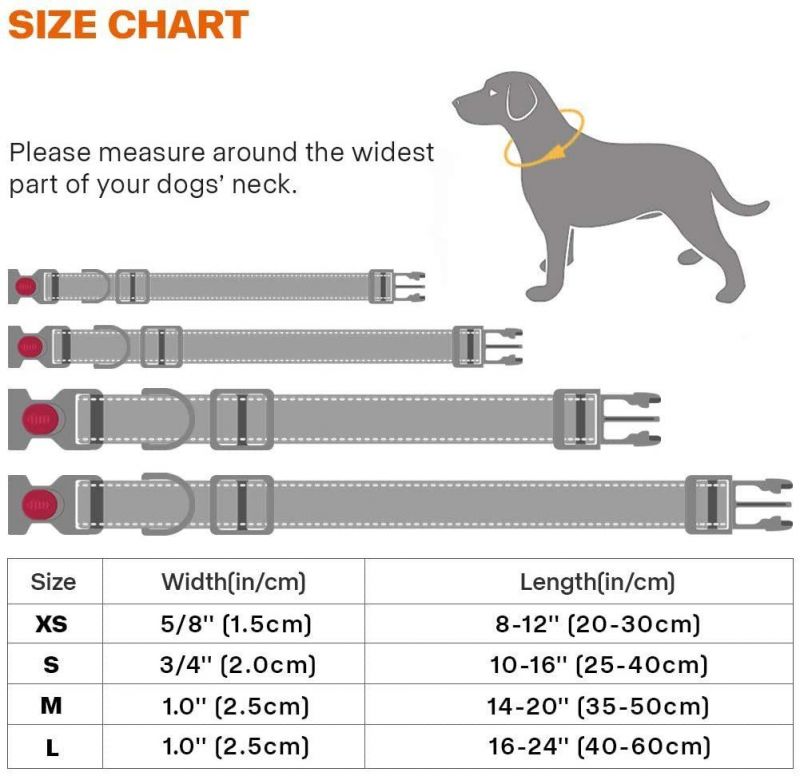 Soft Neoprene Padded Adjustable Dog Collar with Safety Locking Buckle
