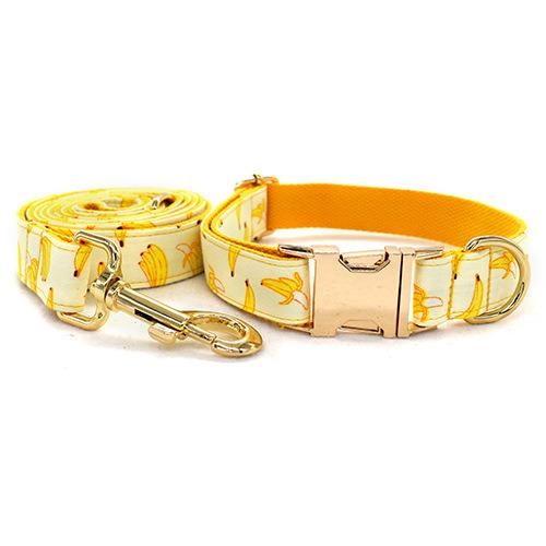 6FT Nylon Dog Leash Printing Floral Pattern Colorful Pet Leash for Puppy Small Medium Large Dogs