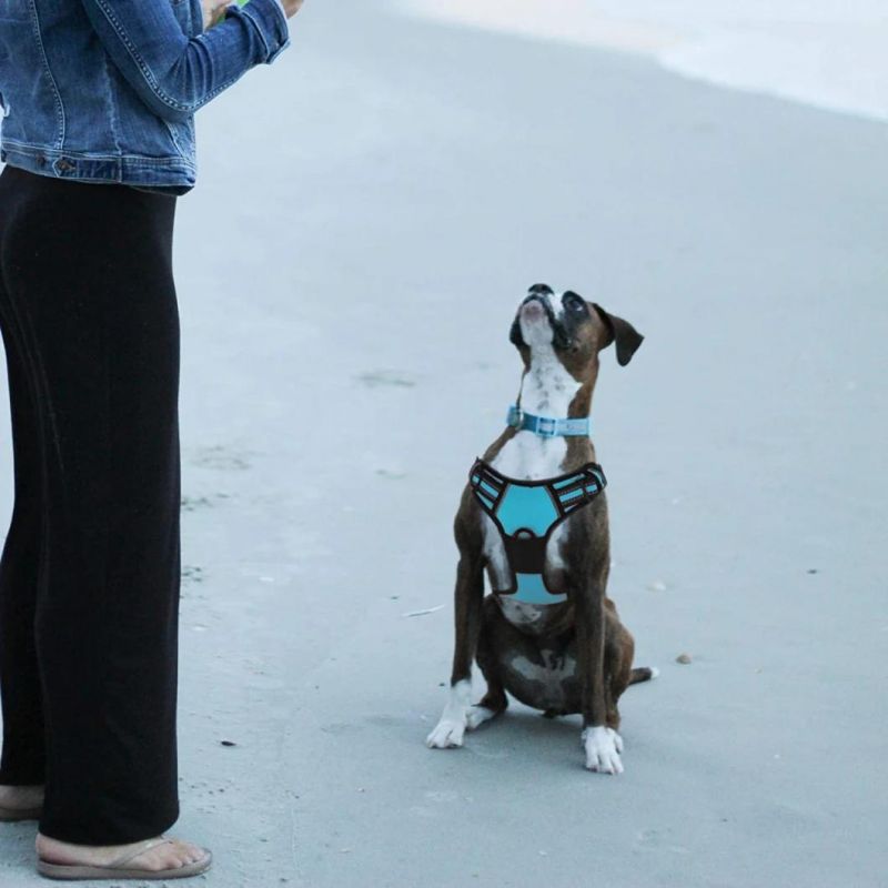 Reflective Dog Vest Front/Back Leash Clips and Easy Control Handle
