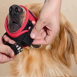 Anti-Biting Barking Secure Dog Muzzle Mesh Breathable Adjustable Strap Dog Mouth Cover Dog Muzzle for Ready to Send