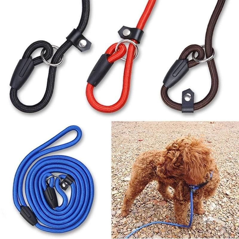 Dog Adjustable Collar Strap Rope Lead Training Pet Leash