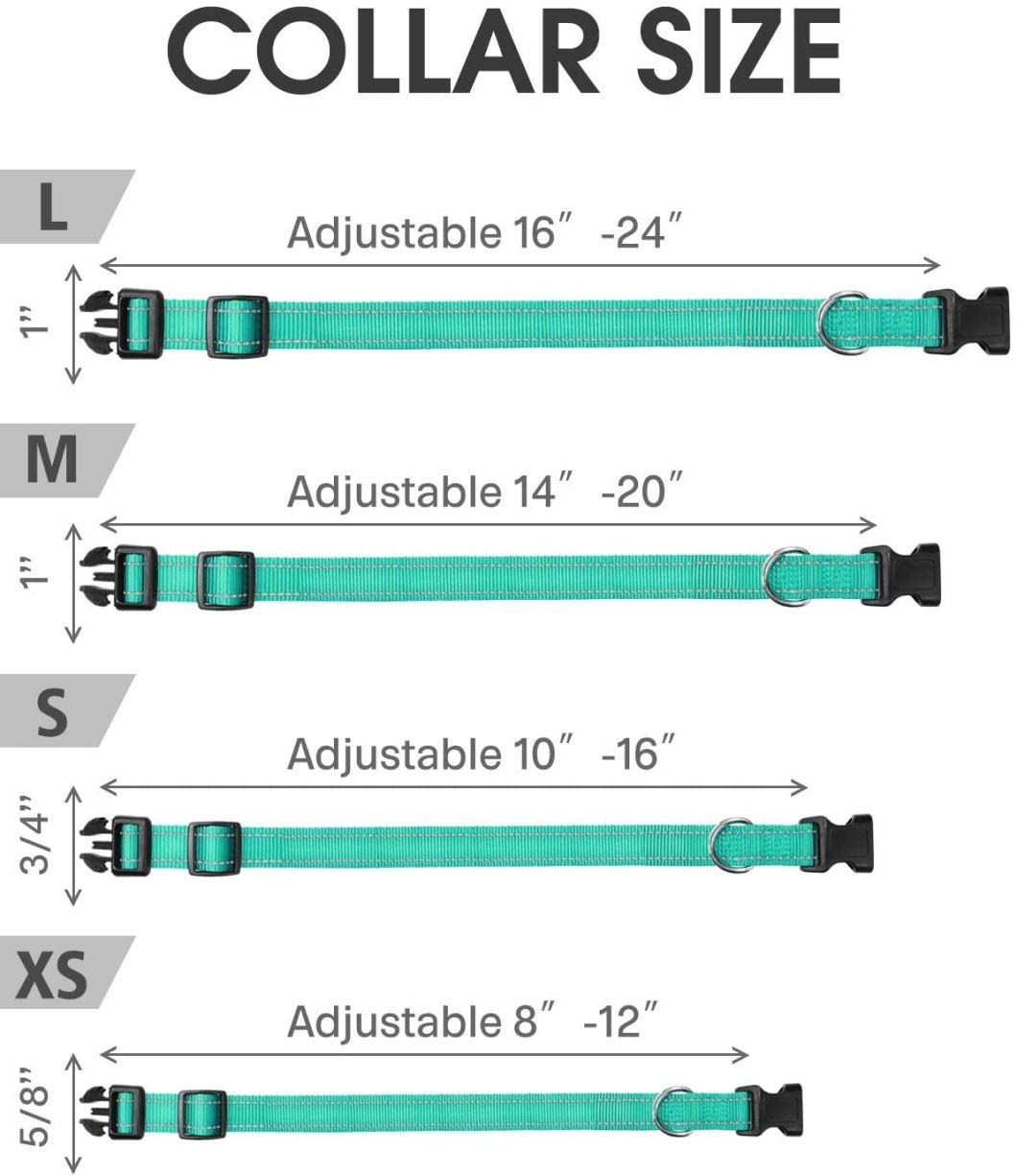 Classic Solid Colors Quick Release Dog Collar