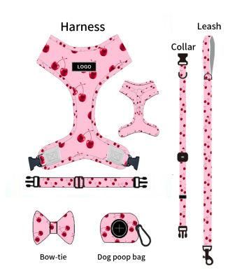 Personalized Harness Walk Kit 5 Point Harness Pet Bandana Collar Harnesses for Dogs