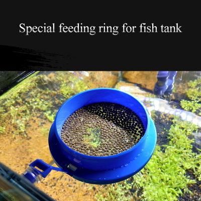 Aquarium Accessories Fish Tank Goldfish Koi Floating Fish Food Feeder