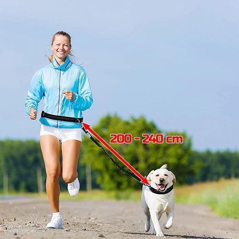 Dog Running Lead Reflective Handsfree Dog Bungee Leash with Bag