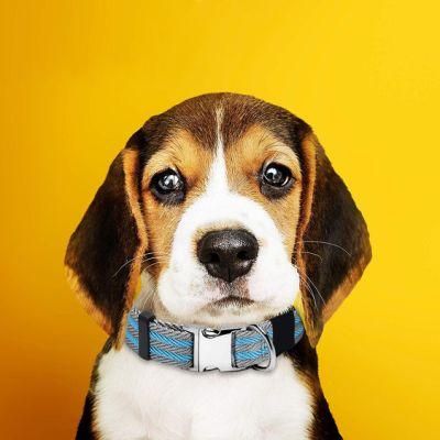 Blue Stripped Pet Collar with Metal Buckle