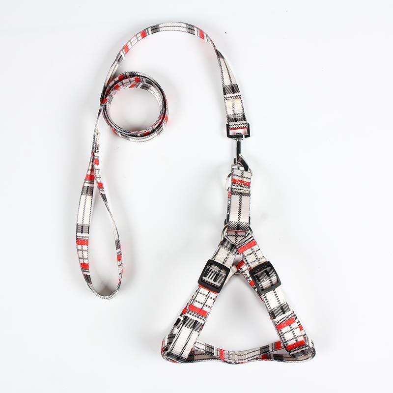 Dog Products, 2021 Hot Selling Pet Products Four Colors New Style / Nylon Dog Leash