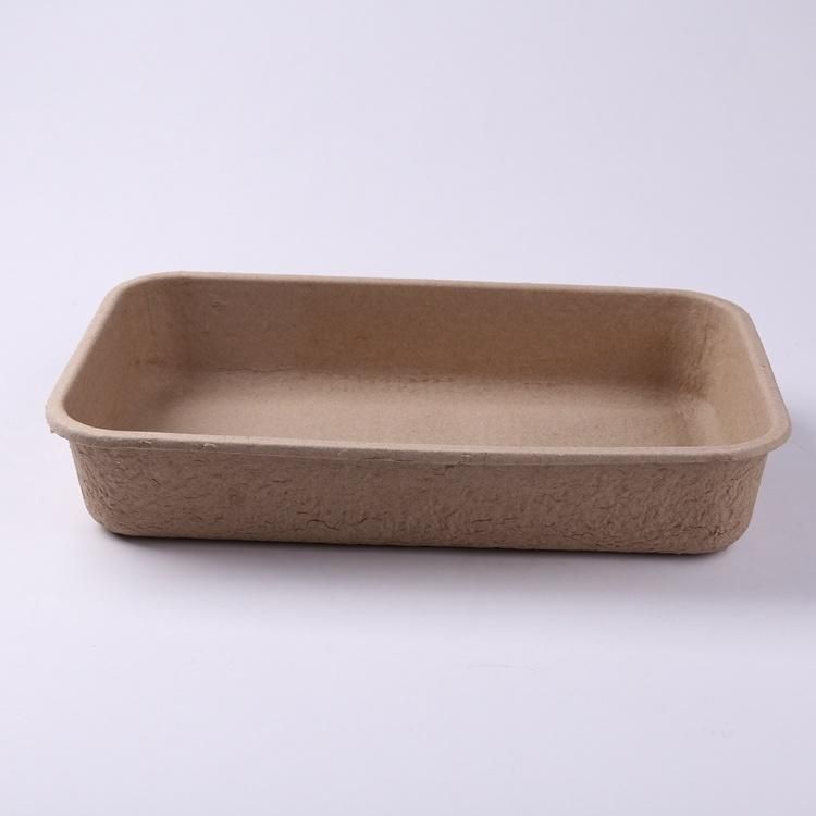 Eco Friendly Pet Cat Meal Box, Molded Pulp Tray