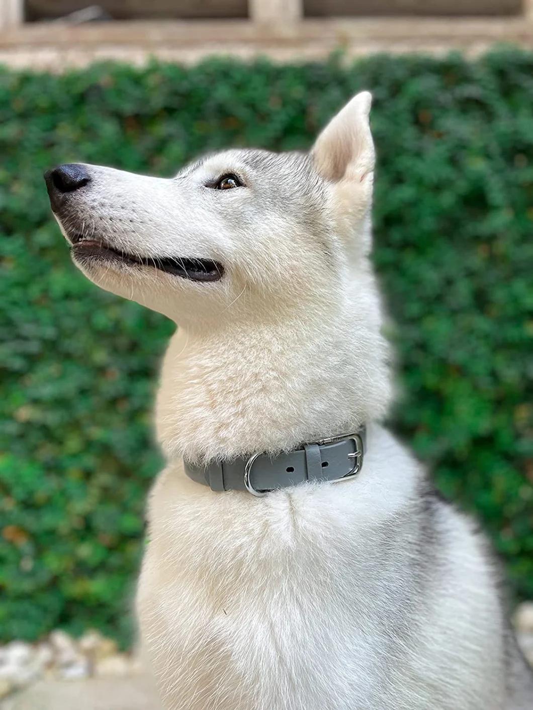 Tough Rust-Proof All Metal Hardware Waterproof Dog Collar