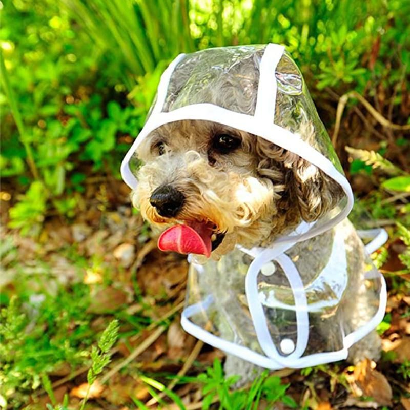 Dog Waterproof Poncho Transparent Rain Coat with Hood for Small Puppy Cats