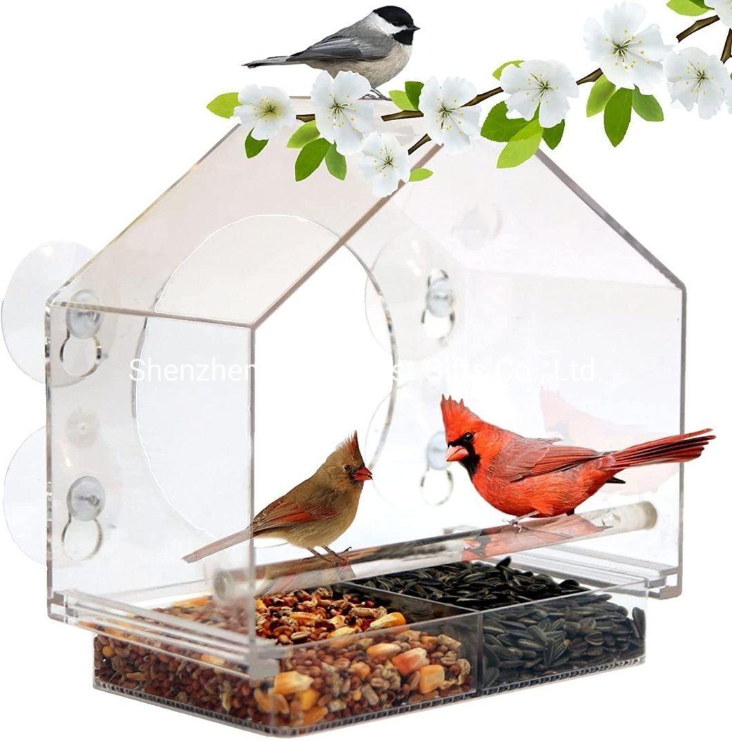 High Quality Custom Acrylic Food Box for Bird