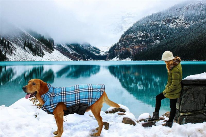 Reversible Dog Jacket Plaid Dog Winter Coat
