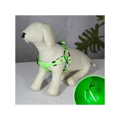 High Quality Lighting at Night to Prevent Dogs Get Lost Alloy D Ring Harness Dog