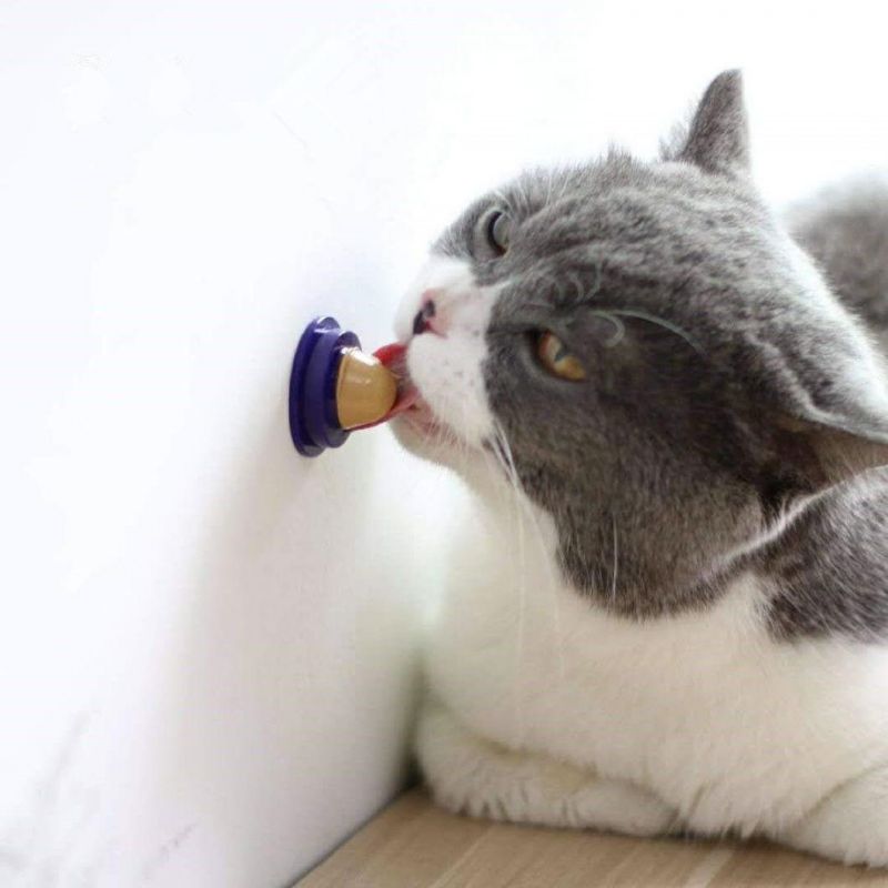 Cat Snacks Licking Sugar Solid Nutrition Gel Energy Ball Cat Treat