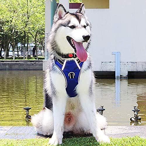 Easy Control Dog Harness Made by Sturdy Oxford