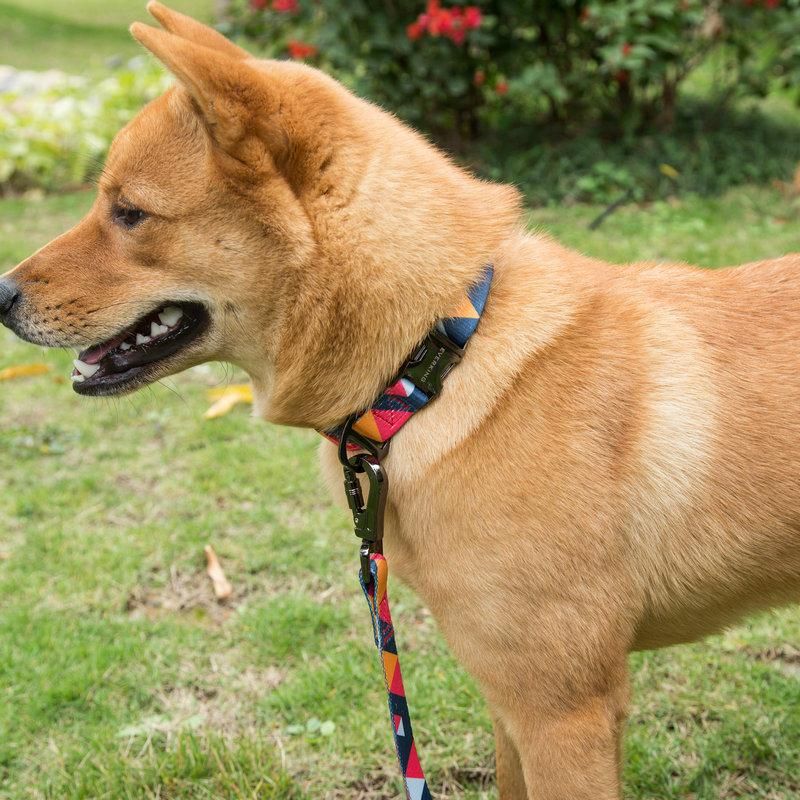 2022 Fashion Custom Dog Luxury Collar Fit All Size Dogs Fashion Perros Harness Pet Products Collar and Leash Set Pet Dog Leash