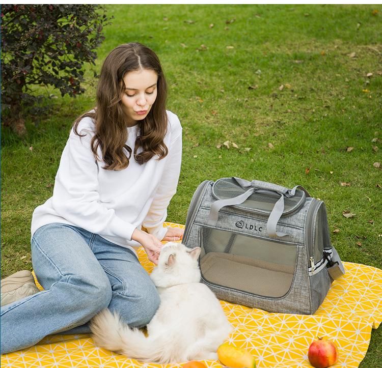 Stock Pet Dog Bag Soft Sided Airline Approved Cat Bag Carrier