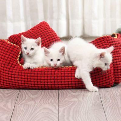 Wholesale Luxury and Washable Pet Bed Soft Pillow Set