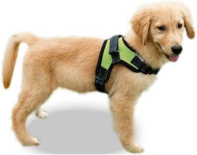 No Pull Mesh Pet Harness with Extra Handle on Top