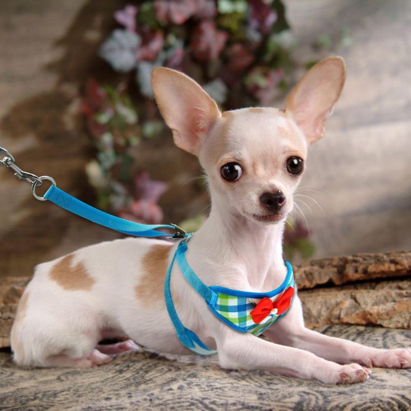 Mesh Small Dog Harness Nylon Breathable Dog Harness Vest Pet Walking Harnesses