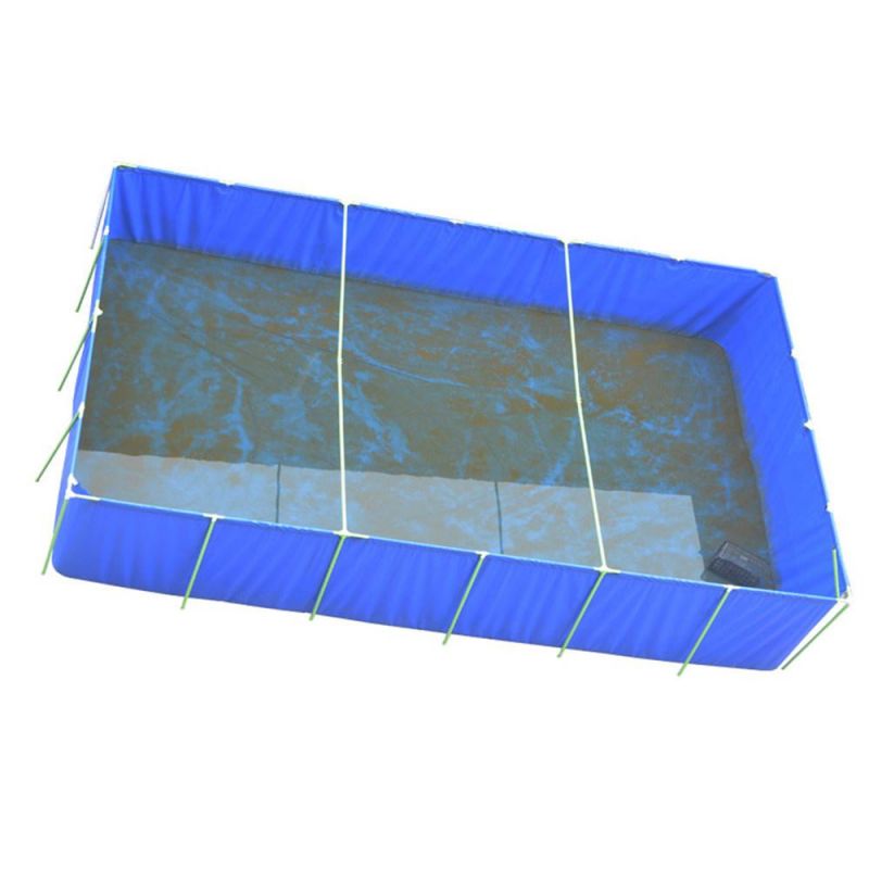 Big Blue Foldable Fish Tank