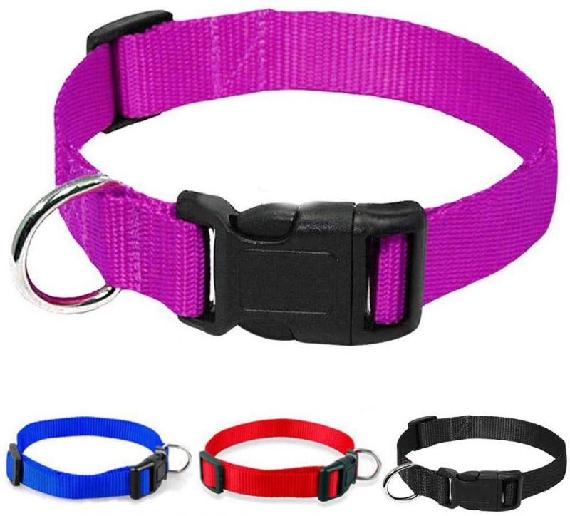 Solid Colors for Small Sized Dogs Neck Multicolor Dog Collar