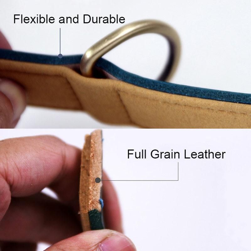Fast Delivery of Genuine Dog Collar with Multiple Colors Option