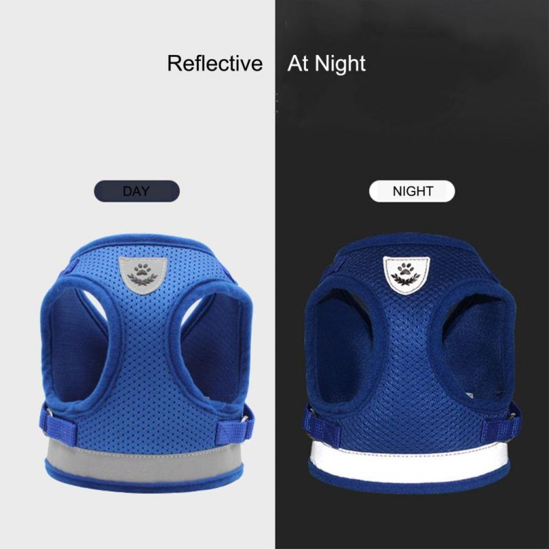 Dog Harness and Leash Set for Dog and Cat