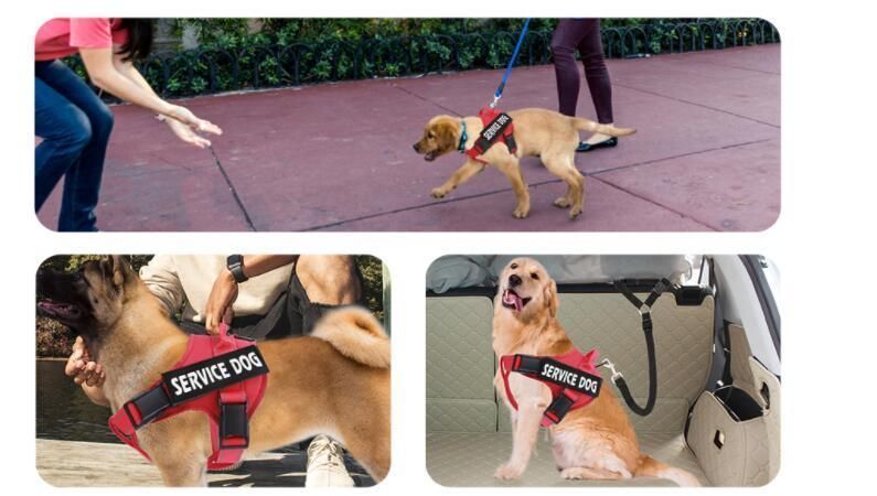 High Quality Outdoor Reflective Adjustable Mesh Oxford No Pull Custom Dog Harness