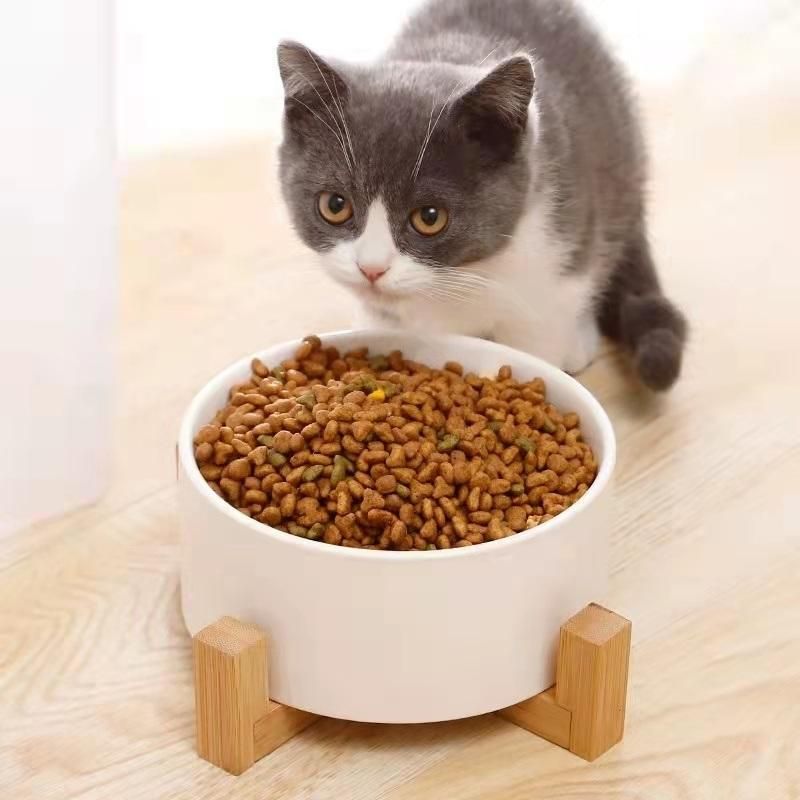 Customize OEM ODM Cat Dog Food Bowl Container Ceramic Feeder