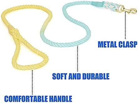 Tie Dyed Handmade Ombre Dog Leash for Large Dogs with Swivel Snap Hook