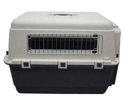 Plastic Dog Crate Best Dog Kennel